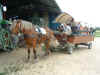caleche04.JPEG (69894 octets)